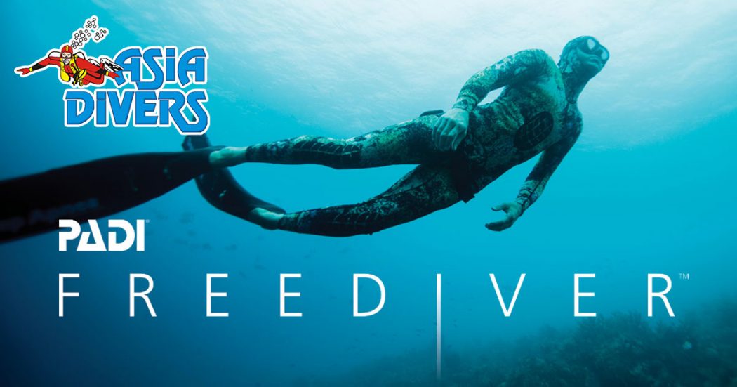 padi freediver course puerto galera philippines asia divers