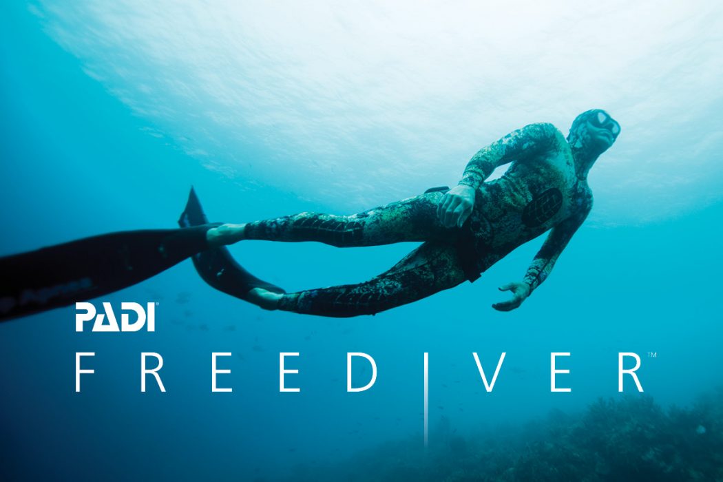 padi freediver puerto galera asia divers