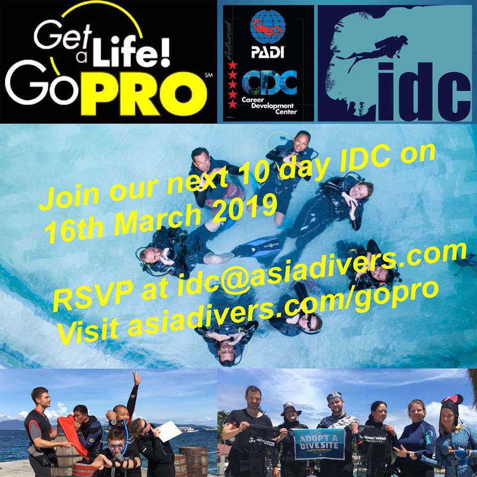 padi instructor idc puerto galera philippines march 2019