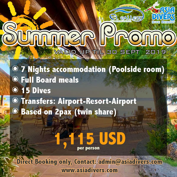 summer holiday promo el galleon dive resort puerto galera