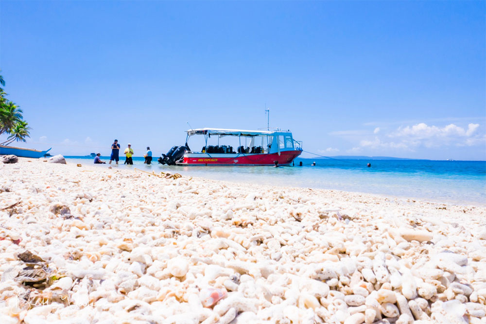 verde island scuba diving puerto galera