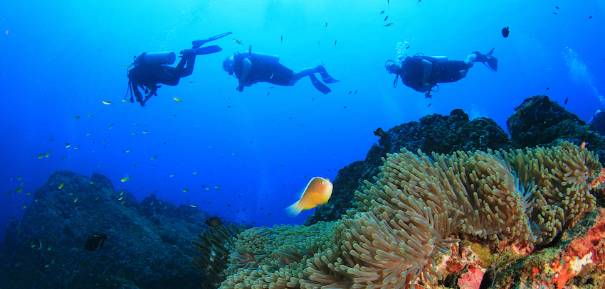 Open Water Course Puerto Galera