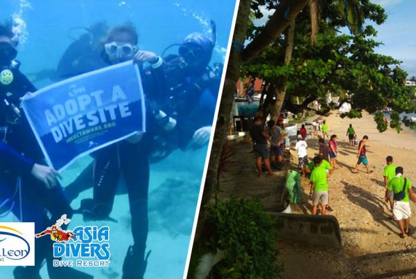 coastal cleanup day asia divers puerto galera philippines