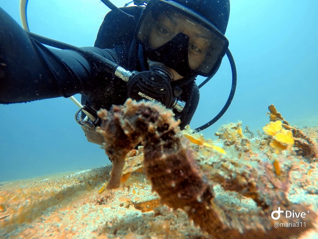 Maria Gonzales Asia Divers El Galleon Resort