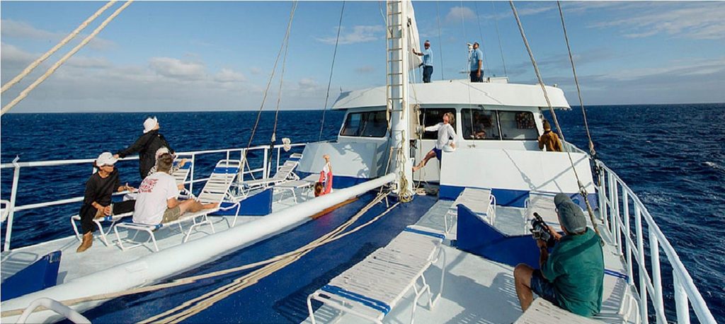Liveaboard Diving Fiji