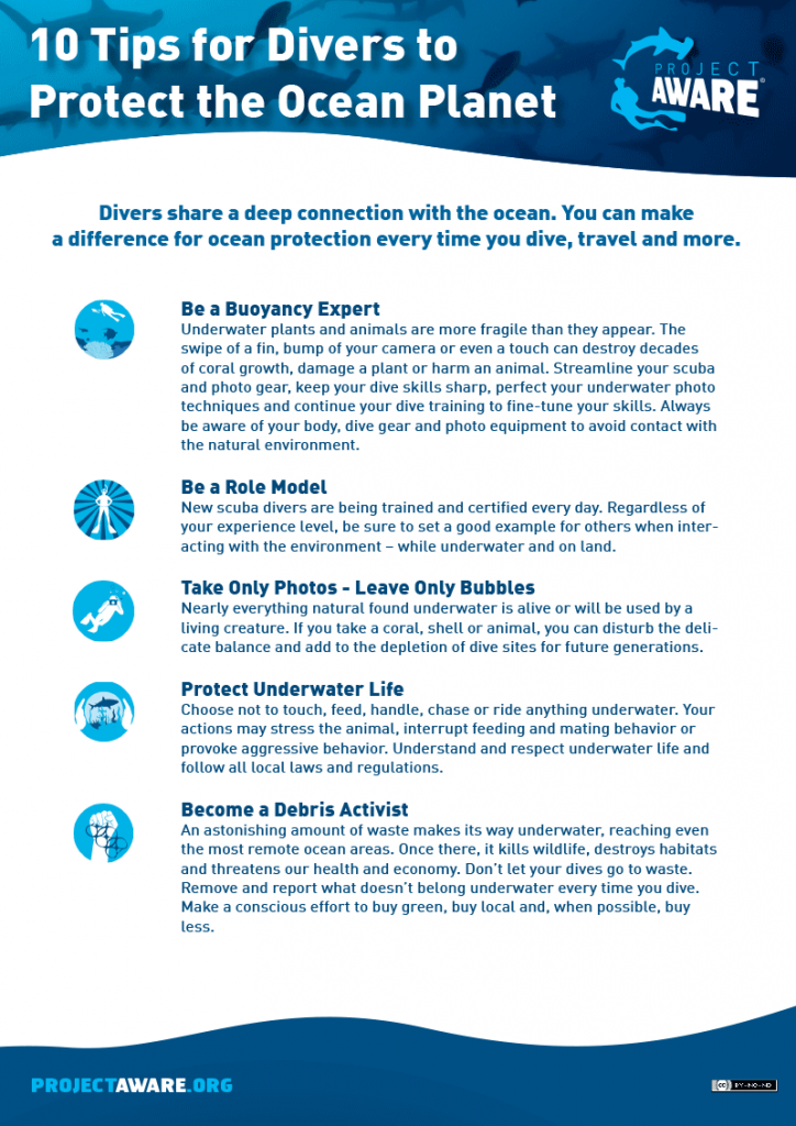 AWARE 10 tips for divers