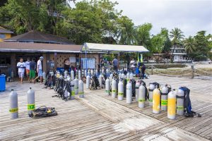 asia divers dive center