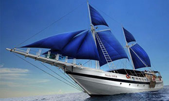 liveaboard diving asia