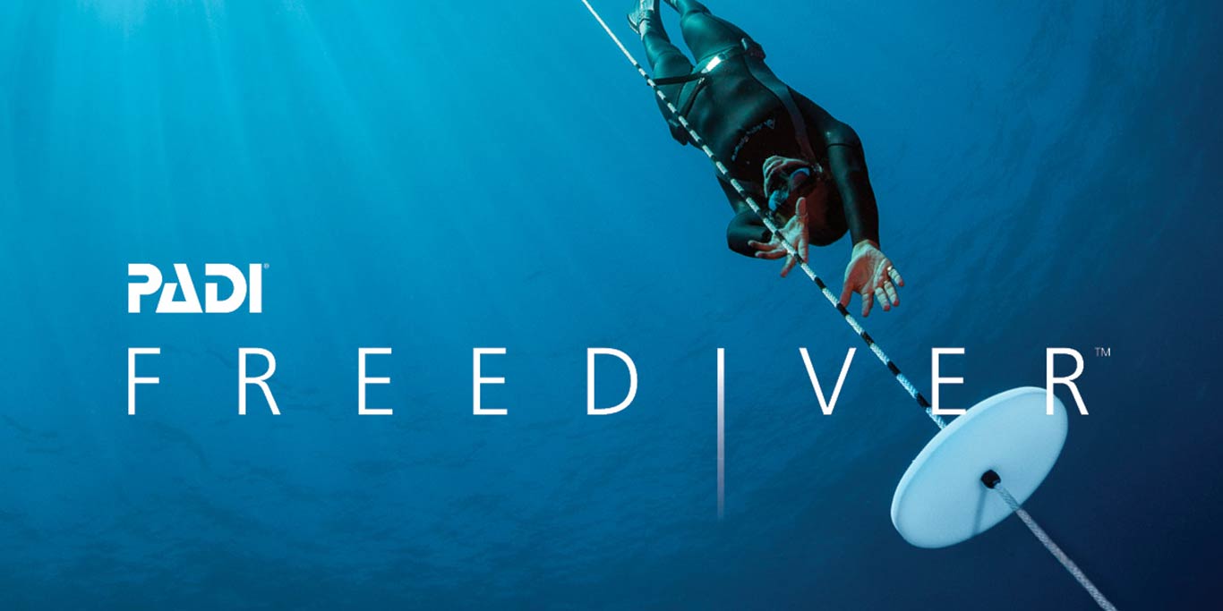 padi freediver course sabang puerto galera asia divers