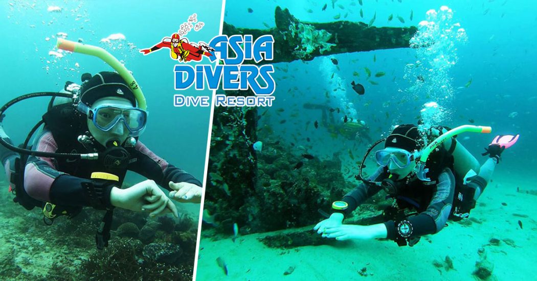 asia divers sabang puerto galera blog Jan 2019