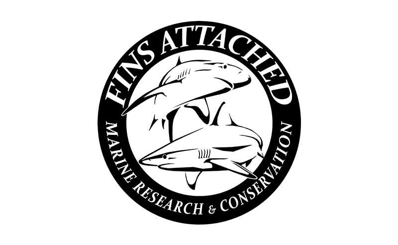 fins attached marine research conservation