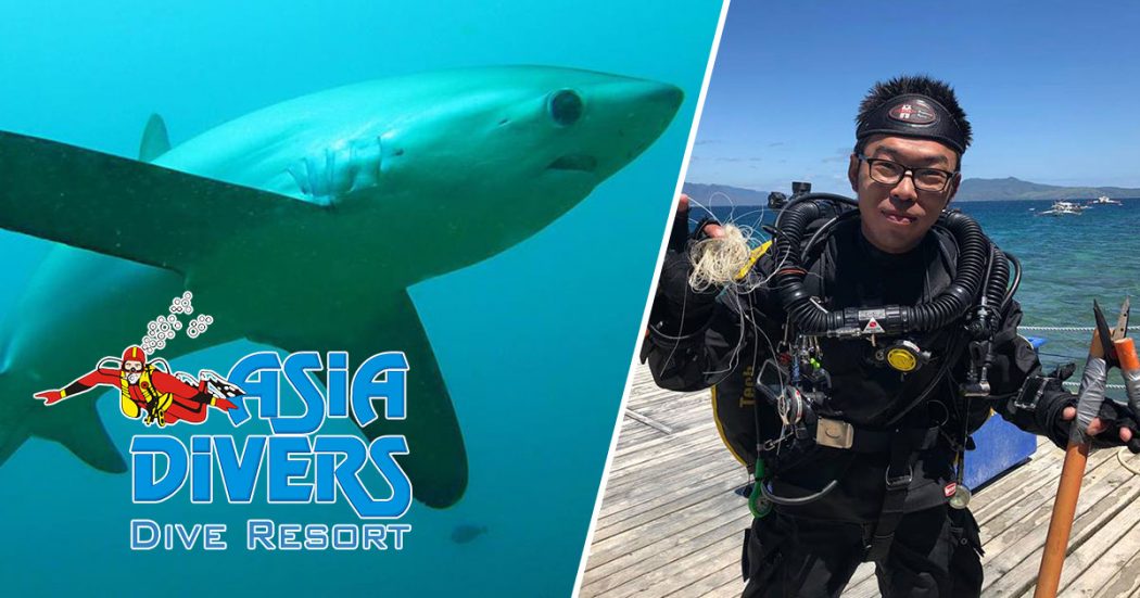 thresher sharks in Puerto Galera Asia Divers