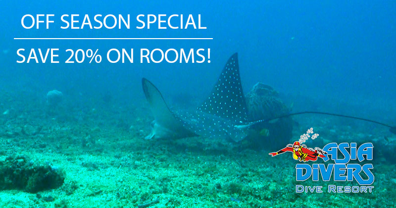 puerto galera dive resort off season special offer el galleon