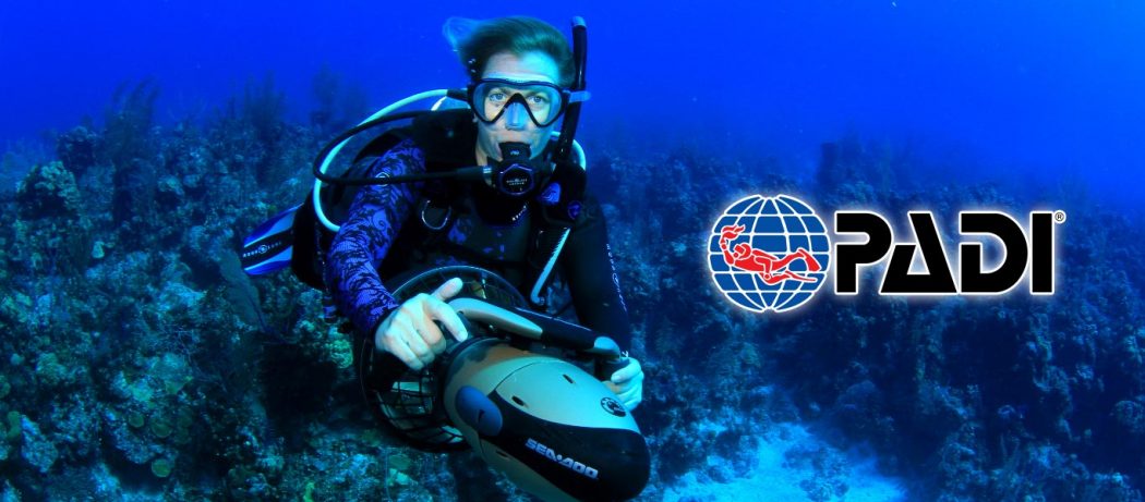 padi dpv course asia divers philippines