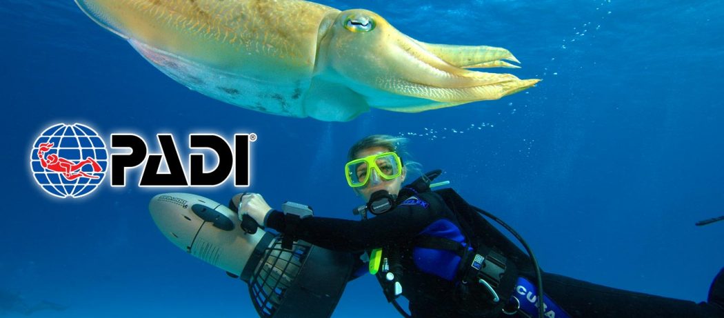 padi dpv course puerto galera