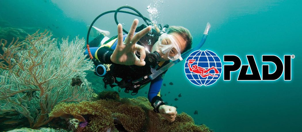 padi peak performance buoyancy course puerto galera philippines