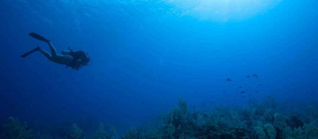 padi scuba diver open water diver upgrade course asia divers puerto galera