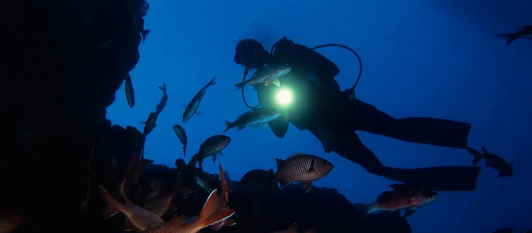 padi search recovery course puerto galera