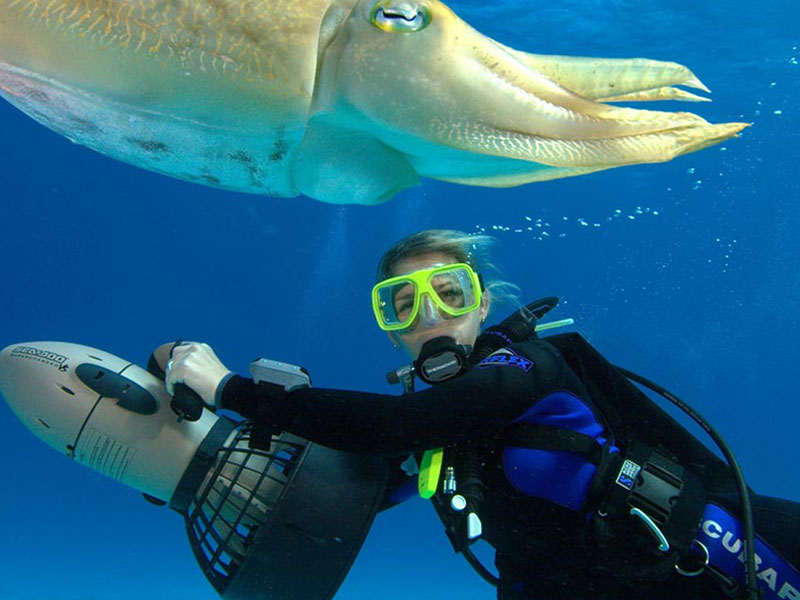 PADI Scuba Diving Courses Philippines Asia Divers, Puerto Galera