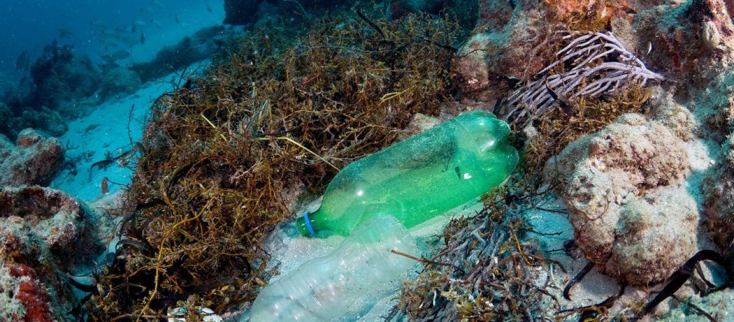 dive against debris specialty scuba course puerto galera asia divers
