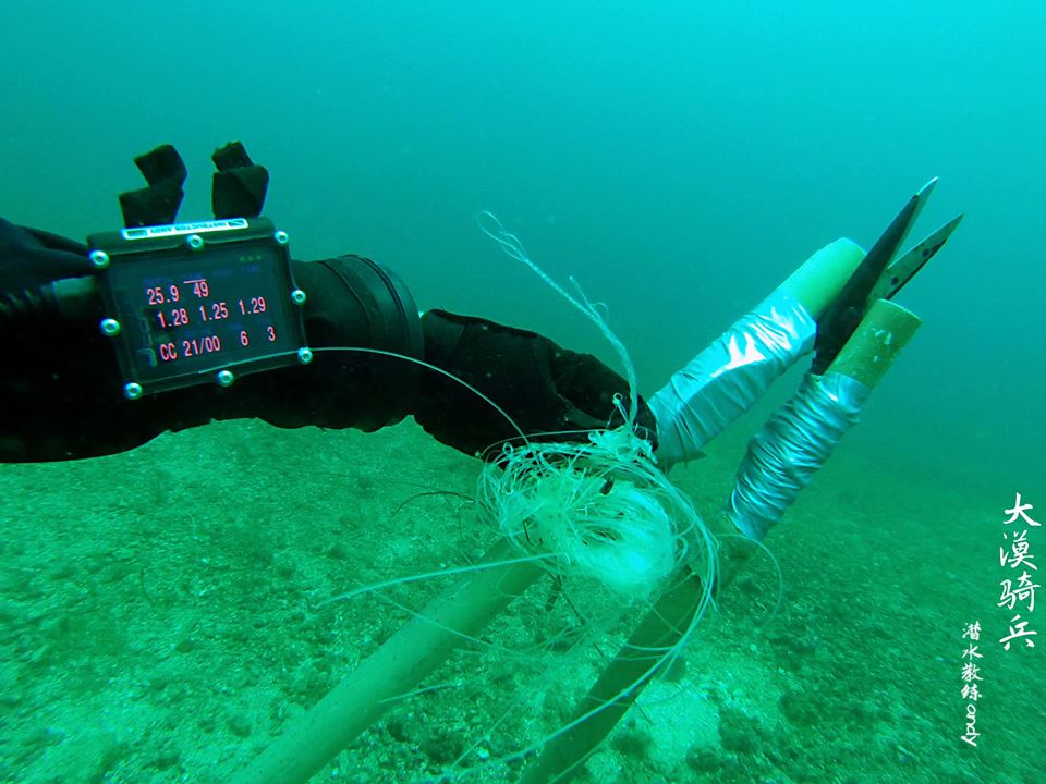 rebreather diver helps tangled thresher sharks