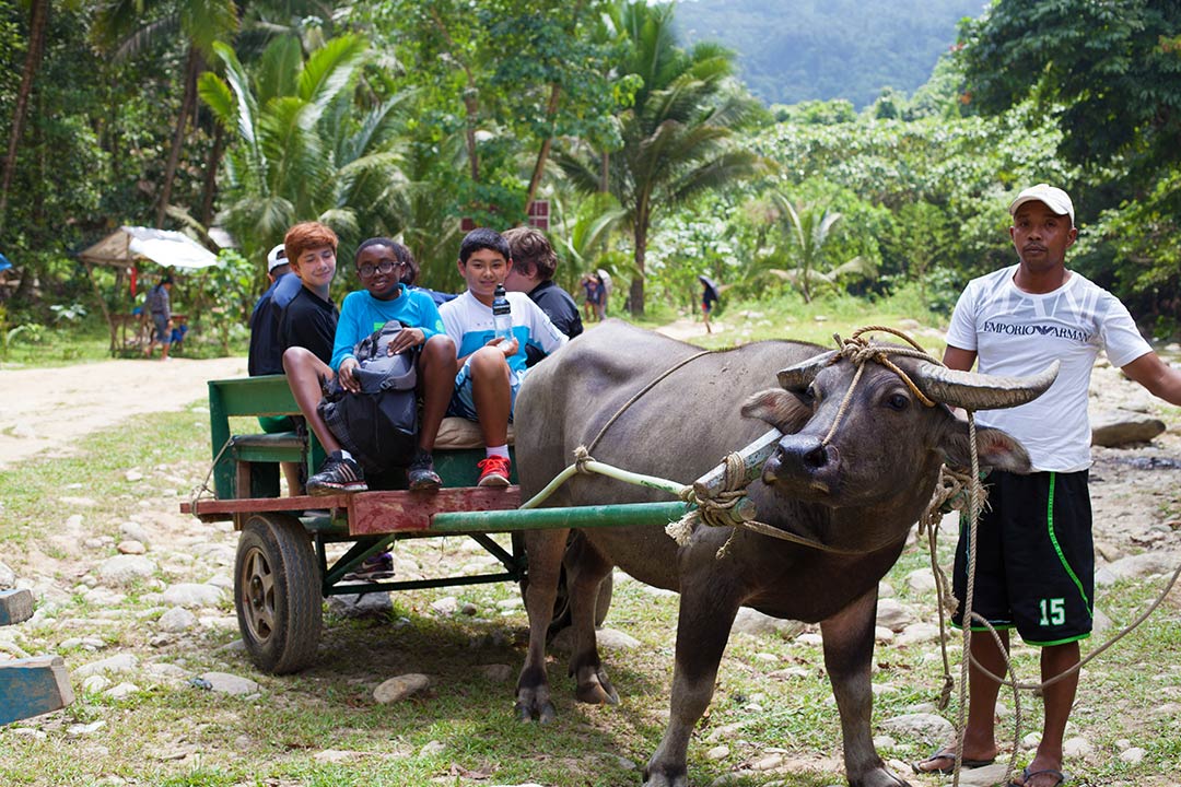 ox cart ride hidden paradise puerto galera philippines
