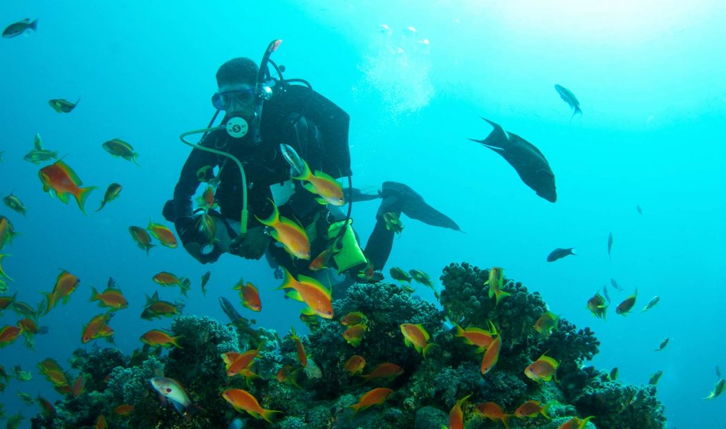 padi self reliant diver course puerto galera asia divers