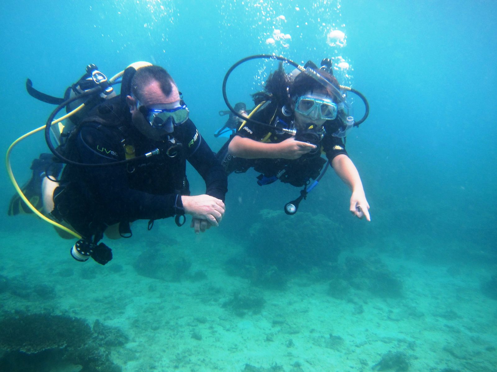 Asia Divers & El Galleon Dive Resort Blog 