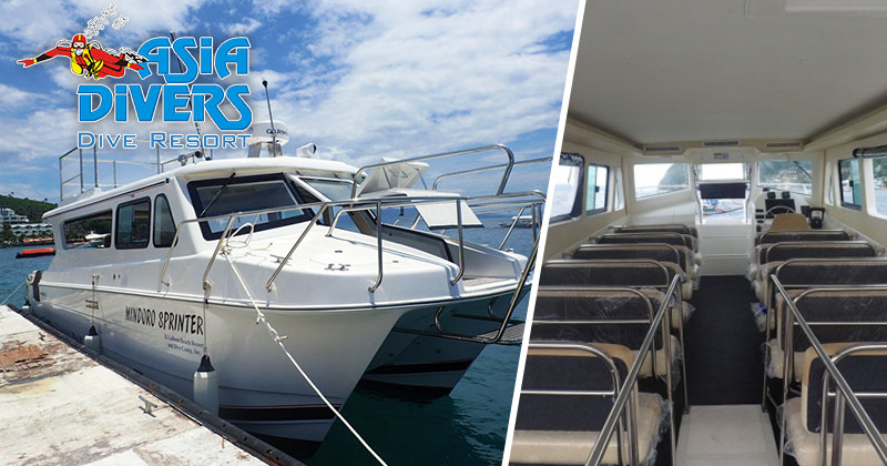 Introducing El Galleon Dive Resort’s new boat – the Mindoro Sprinter!