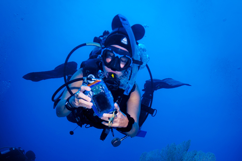 Scuba Diving Puerto Galera: the Coral Triangle