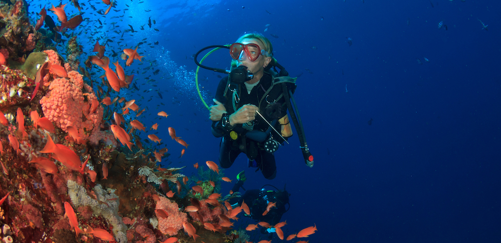 Learn to Scuba Dive in Puerto Galera, The Philippines