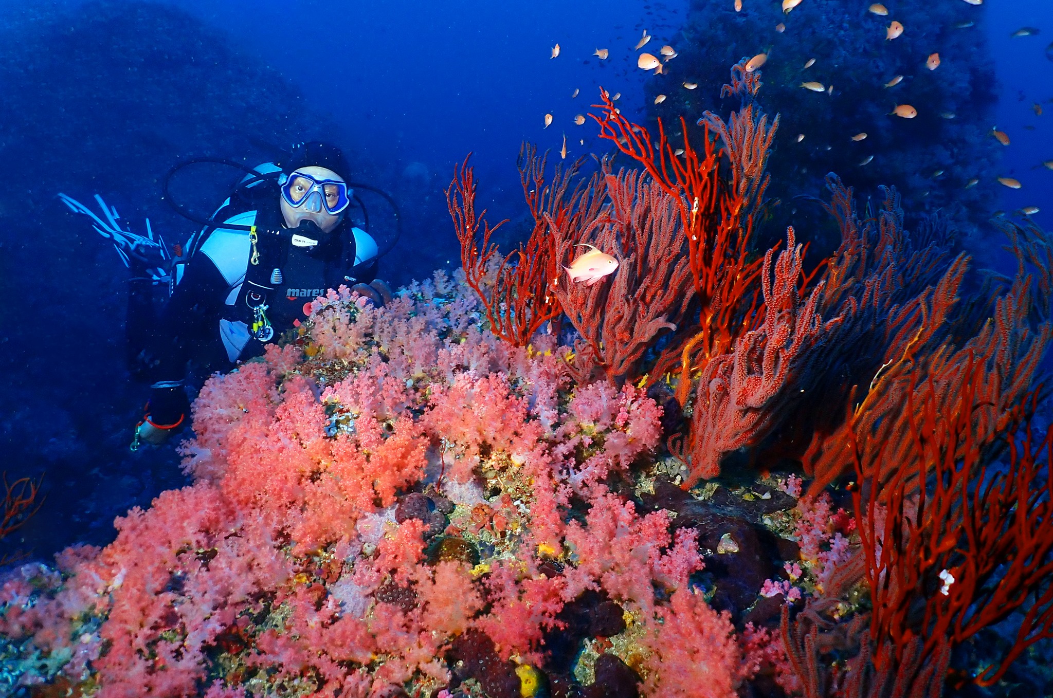 Spectacular Diving in Puerto Galera made easy!