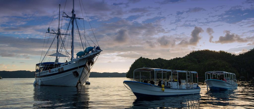Liveaboard Diving Palau 1